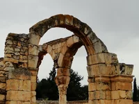 DSC01431.jpg