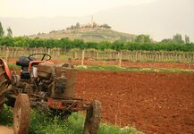 IMG_7350.jpg