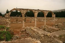 IMG_7301.jpg