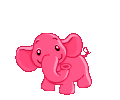 slon05.gif