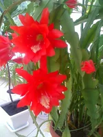 0059.webp