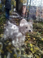 0447.webp