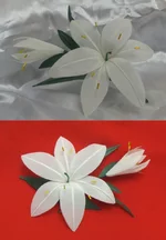 Лилия одна.jpg