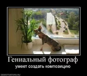 751831_genialnyij-fotograf (1).webp