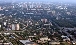 IMG_0545_1.webp