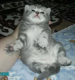 GE Witney 7.webp