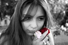 36.webp