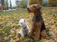 DSC07203.webp