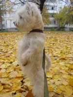 DSC07313.webp