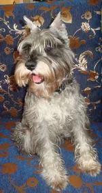 DSC02320.webp