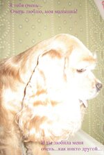 IMG_0285.jpg