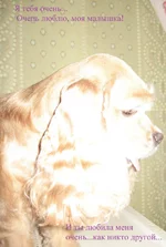 IMG_0285.webp