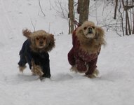 IMG_0305.jpg