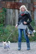 102.webp