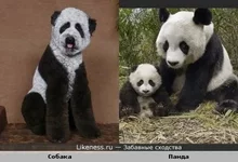 1282725527.webp