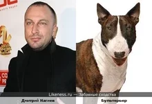 1255342878.webp