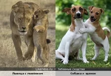 1316638640.webp