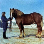 000210.webp