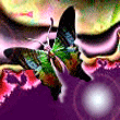b1c17bfd9b3520c771c76721fbde04d1.gif
