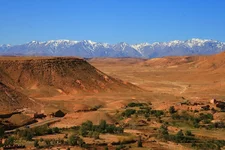 IMG_1807.jpg