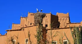 IMG_1882.jpg