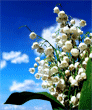 58f6faad8ef68ce3110fe3fca96417b1.gif