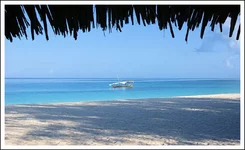 02.webp