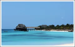 04.webp