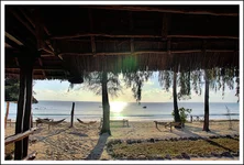 28.webp