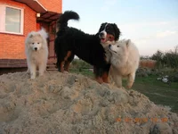 DSCN5892.webp