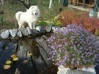 DSCN6388.webp