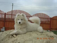 DSCN6366.webp