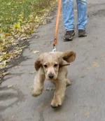 IMG_5812_1.webp
