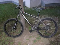 IMGP2420.webp