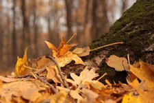 IMG_7227 (1).webp