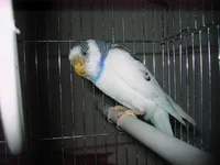 IMG_3840[1].webp