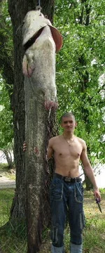26042010113.webp