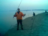 010.webp