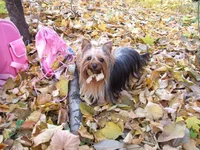 DSCF6011.JPG