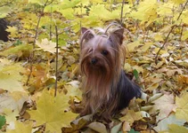 DSCF5953.webp