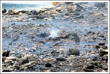 95.webp