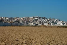 IMG_1571.jpg