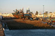 IMG_2088.jpg