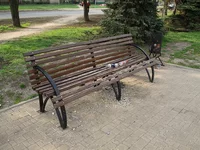 OL055472.jpg