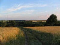 x_612256b6.jpg