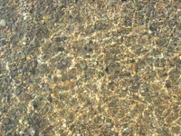 DSCN0065.webp