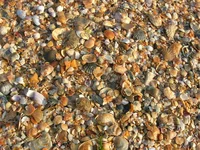 DSCN0106.webp