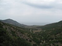 IMG_0456.jpg