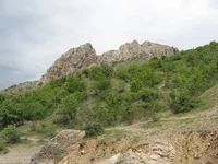 IMG_0474.jpg