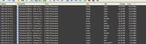 55555.webp